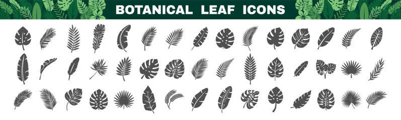 Black botanical leaf icons collection featuring tropical and exotic foliage silhouettes on white background. © Alla