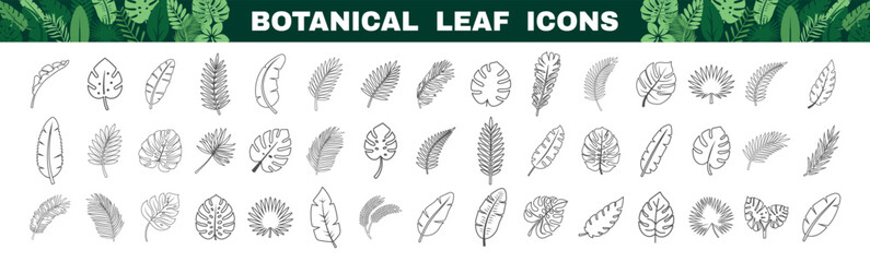 Botanical leaf icons in line art style. A collection of hand-drawn tropical plant sketches. © Alla