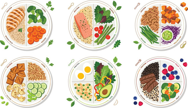 Healthy portion control plate set with balanced protein, carbs, fats and vegetables vector illustration