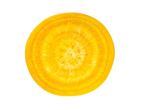 Striking macro organic food photography featuring a perfectly round thin slice of a bright glowing golden yellow beet with concentric rings.