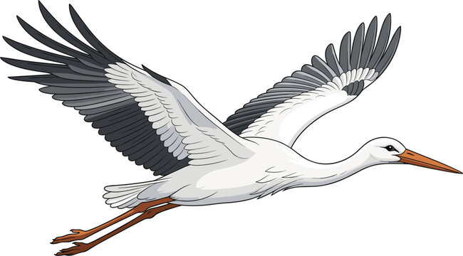 Flying white stork side view vector illustration, featuring large outspread wings soaring wild bird concept