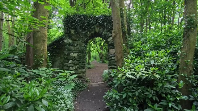 Enchanting wild garlic woodland pathway approaching ancient stone arched ruins doorway