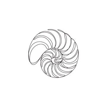 Nautilus shell vector illustration. chambered nautilus in linear style. beautiful sea mollusk.