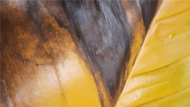 Close up photo of leaf surface for background
