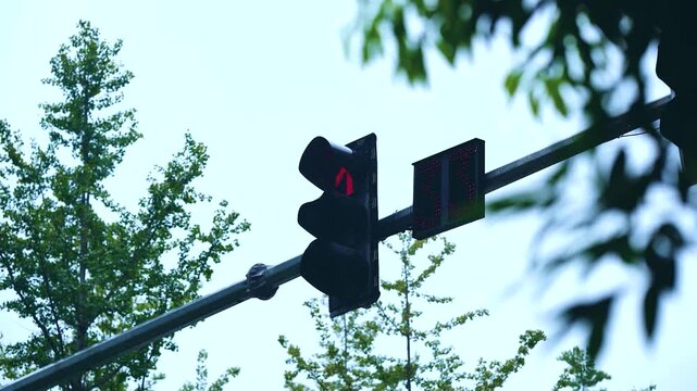 Traffic light with a countdown timer showing a red signal against a sky background