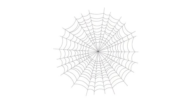 Abstract circular radial pattern with thin black lines forming a complex geometric spider web shape on a simple design