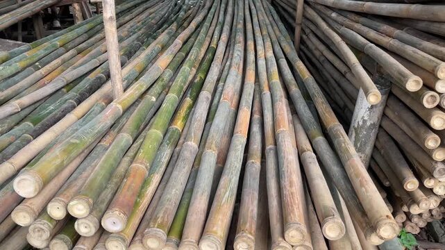 Bamboo stack, Natural bamboo texture with cross stems.