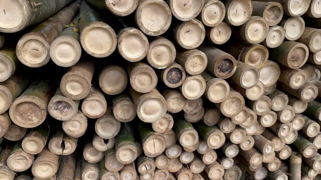 Bamboo pile at the end and base in a circular shape, natural bamboo texture.