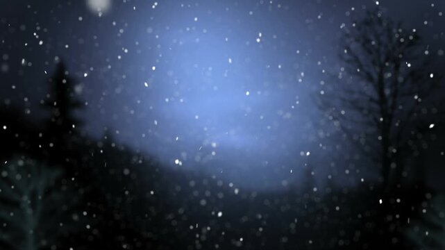 snow flakes fall on the dark blue background