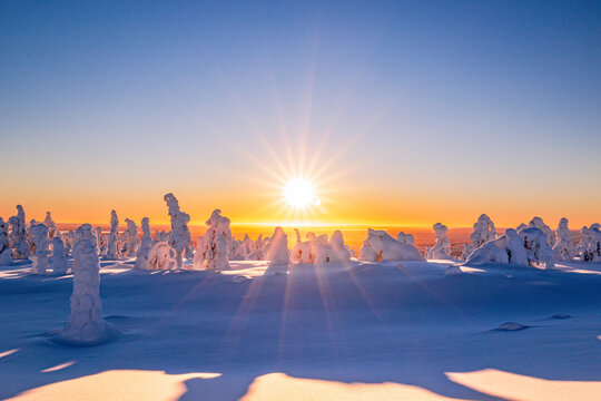 beautiful winter landscape at sunset