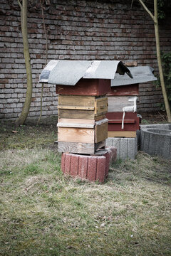 Traditional wooden beehives in the garden