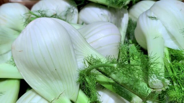 A close-up view of freshly harvested fennels on the local farmer's market in France . Background of organic food.	