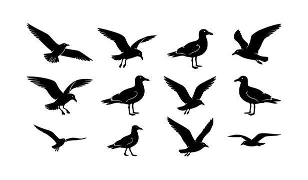 Flying and standing seagull silhouette vector collection in black and white style