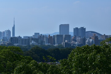 Fototapeta premium 福岡県 福岡市の舞鶴公園～福岡城跡