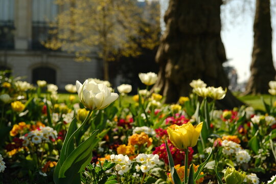Paris, France