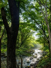 Fototapeta premium A serene forest river flows gently beneath a canopy of lush green trees.
