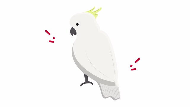 White crested cockatoo in minimalist style suitable for logos, social media, childrens books, and naturethemed designs. Bright and eyecatching.