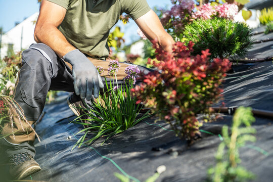 Gardener works on a rooftop garden in a city environment during daylight hours
