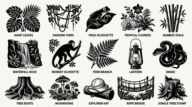 Black and White Jungle Elements - Nature Icons, Vector Art