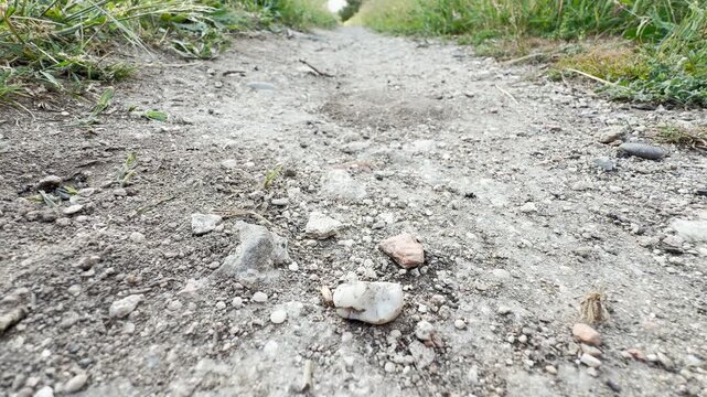 A rough, gravelly pathway stretches forward into an unknown horizon, bordered by soft green grass. The low angle creates a sense of lonely wonder and anticipation along the quiet journey.