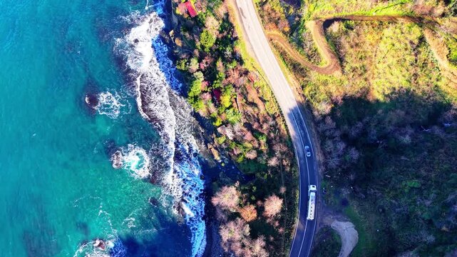 Bird&rsquo;s-eye drone footage tracking vehicles as they move along an asphalt road between dense green forest and crystal-clear turquoise sea. The camera remains pointed straight down while flying forward,