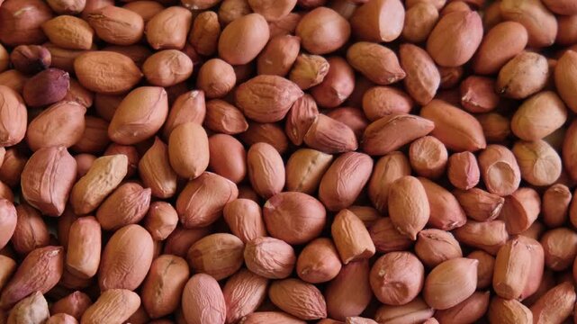 Full-frame close-up of raw, unpeeled brown peanuts