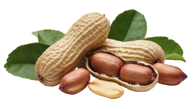 Whole and shelled peanuts with green leaves, isolated on transparent background