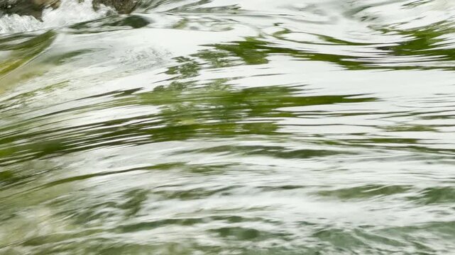 Fast-moving river water flows smoothly, creating a vibrant feeling of energy and renewal. The bright green undertones shimmer under the light, offering a refreshing and peaceful view of nature.