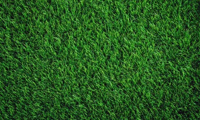 Fototapeta premium Fresh green grass growing covering a lawn surface