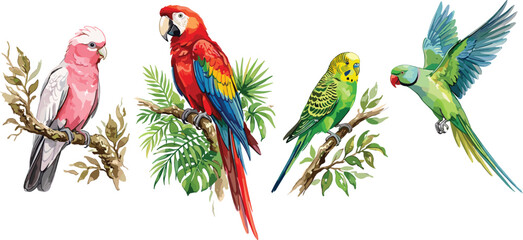 Watercolor Tropical Parrot Vector Set Featuring Colorful Scarlet Macaw Cockatoo Budgie and Flying Rose-Ringed Parakeet Bird Illustrations © Lipi