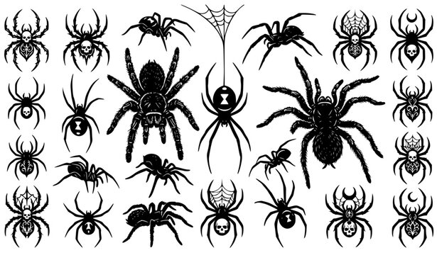 Detailed Halloween spider silhouette collection vector illustration isolated on white background