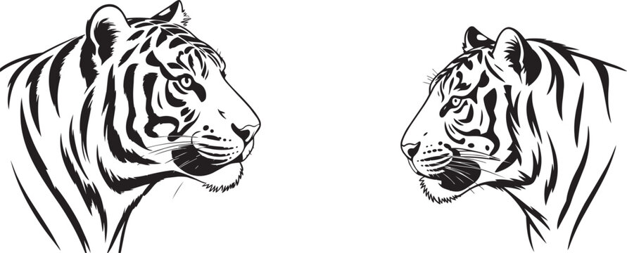 Two tiger head artistic profile sketch drawing vector illustration.