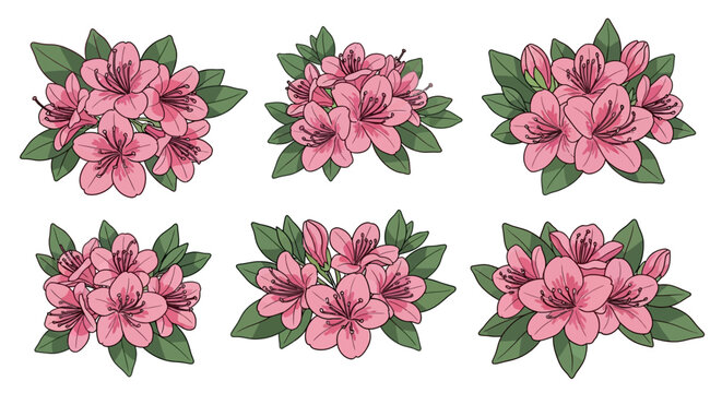 Stylized Pink Azalea Flower Clusters Vector Illustration Collection