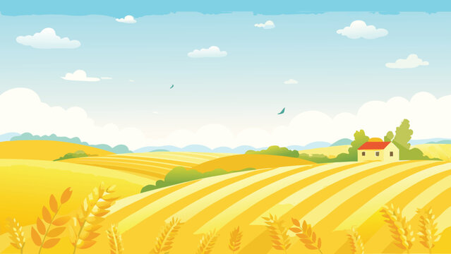 Rural landscape with wheat fields and small farmhouse illustration