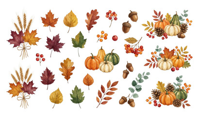 Thanksgiving botanical autumn element vector isolated on white background © MDRahul