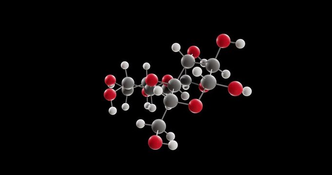 Cellobiose molecule, rotating 3D model of disaccharide, looped video on a black background
