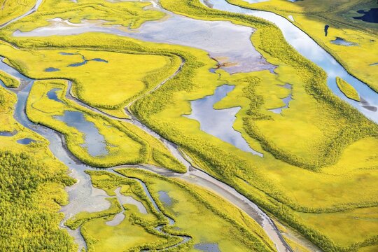 Close-up of the Rapadalen river delta, Rapa&auml;lv river, Sarek National Park, Laponia, Lapland, Sweden