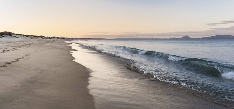 Beach at sunset, Waipu, Northland, New Zealand