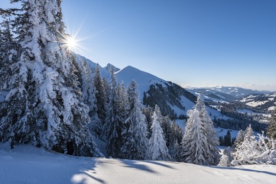 Snowy winter landscape on the Gurnigel Pass, Gantrisch nature Park, Canton Bern, Switzerland