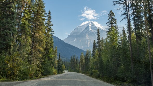 Road, highway through a forest, behind summit of Mount Robson, Mount Robson Provincial Park, British Columbia Province, Canada