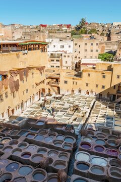 Worker dyeing leather, basin with paint, dyeing, tannery Tannerie Chouara, tanner and dyer quarter, Fes el Bali, Fes, Morocco