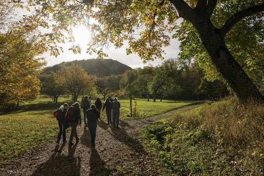 Hiking group, Hiking trail to Hohenneuffen Castle, Beuren, Swabian Alb, Baden-W&uuml;rttemberg, Germany