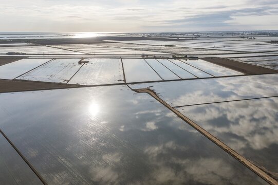Flooded rice fields in May, the dry patches are experimentally cultivated with dryland rice, aerial view, drone shot, Ebro Delta Nature Reserve, Tarragona province, Catalonia, Spain