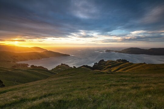 View of meadows and rocky coast at sunset, French Pass, Marlborough region, Marlborough Sounds, Picton, South Island, New Zealand