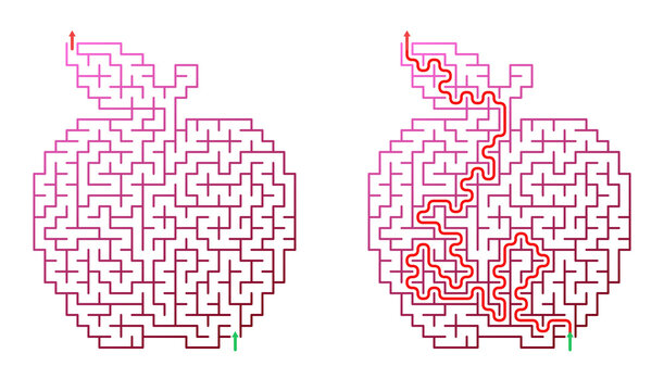 Apple-shaped maze graphic with red solution path illustration  