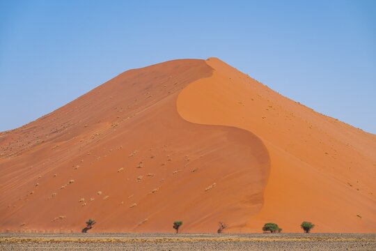 Dune 45, dune, sand dune, Sossusvlei, Namib Desert, Namib-Naukluft National Park, Namibia