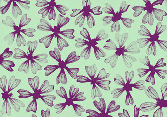 Vintage floral cyanotype pattern with mauve wood mallow flowers on pastel green background © Melody