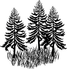 Black spruce trees and grass silhouette. Coniferous forest elements vector isolated on white © Kazakova Maryia