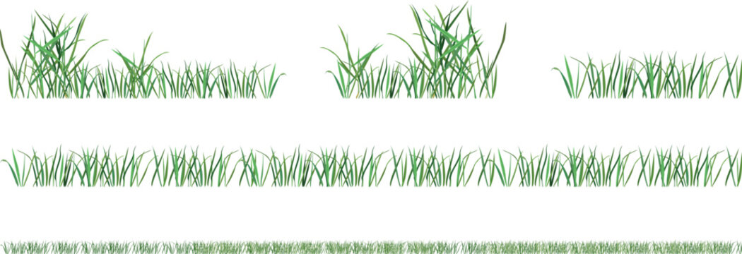 Green grass borders and tufts set. Horizontal seamless vector elements isolated on white