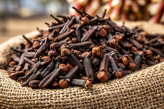 Dried cloves filling a burlap sack